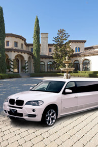 Arrive in Style - VIP Limousine Rentals!